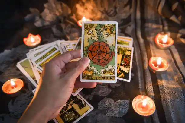 tarot cards Belvidere